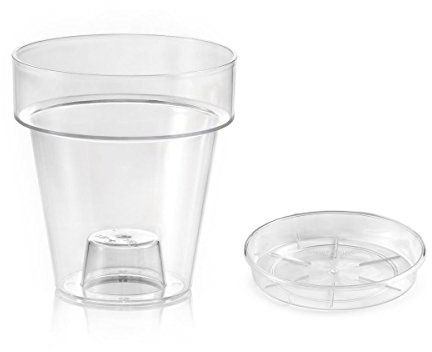 Teraplast Vase transparent « Porto » avec support pour orchidées - diamètre 16 cm - ensemble avec soucoupe