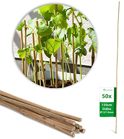 Novatool 50 Stück Tonkinstäbe 150 cm I ø 12-14 mm I Braun I Tonkinstab Pflanzstäbe Bambuspfähle Gartenpfähle Bambusstöcke Pflanzenstütze Pflanzstab Monstera Rankhilfe
