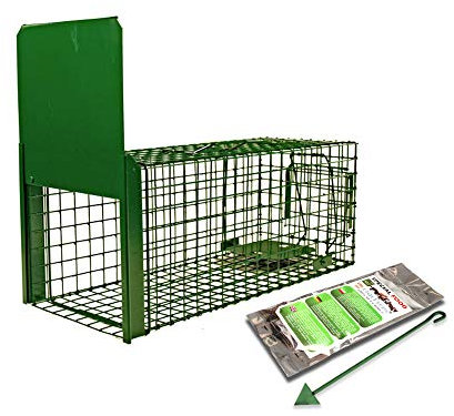 Holtaz Fallen Strong Grün 102x34x34 cm 1 Tür Marderfalle Katzenfalle Fuchsfalle Biberfalle Tierfalle Kastenfalle Drahtfalle Lebendfalle Mit Extra Köder