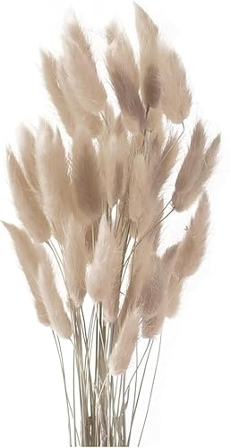 Pampasgras Trockenblumen 50 Stück Elegantes Pampasgras Deko Natürlich Blumenstrauß Flauschiges Getrocknete Blumen Herbst Boho Deko für Hochzeit Büro Schlafzimmer Wohnzimme (Grauer Kaffee)