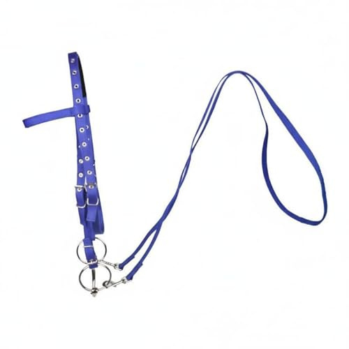 HGZLQKD Horse Riding Bridle Bridle Reins Headstall Tack Set With Build And Comfortable Suitable for daily workouts ranch riding leisure hacks, Blue, S