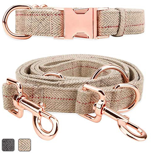 Rotgoldenes Hundehalsband und Leine (2 m) | Außergewöhnlich elegant & verstellbar | 3 verstellbare Längen Hundeleine | weich und leicht zu reinigen (Beige; XS (20,3 cm - 30,5 cm)