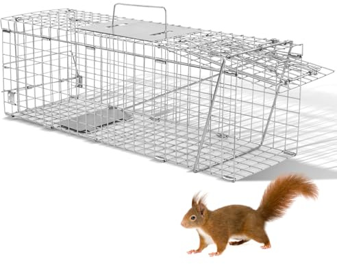 24 Inch Live Animal Cage Trap for Humane Wildlife Removal - Heavy Duty Foldable Design with Handle for Raccoons, Cats, Rabbits and More