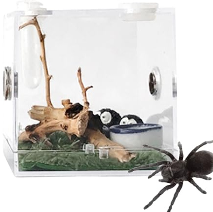 Durchsichtige Insektenfutterbox,Krabbelbox aus Acryl für die Zucht von Haustieren – transparente Aufbewahrung von Lebendfutter | Insektenbeobachtungsbox - für Spinnen, Grillen, Schnecken, Einsiedlerkr