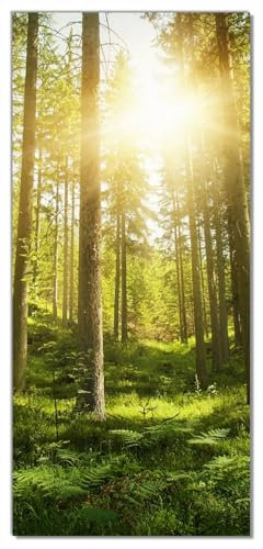 Wallario Selbstklebende Türtapete Sonnenstrahlen im Nadelwald mit Moos und Farn - Türposter 100 x 220 cm Abwischbar, rückstandsfrei zu entfernen