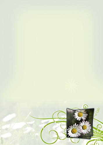 Designpapier Gänseblümchen DP1871 – 25 Blatt Briefpapier – Hochwertiges Motivpapier Geburtstag, Einladung, Brief, Jubiläum, Liebesbrief – Laser- & Inkjetdrucker geeignet – Druckerpapier A4 90g/m²