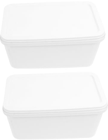 VERDANVERSE Caja de Helado para Congelador 3 L, 2 Piezas, Plástico Blanco