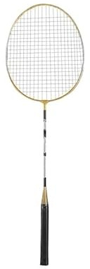ZQINGQING Badminton Set Juego de Raquetas bádminton for Adultos, Ligero y Absorbente del Sudor(Set)