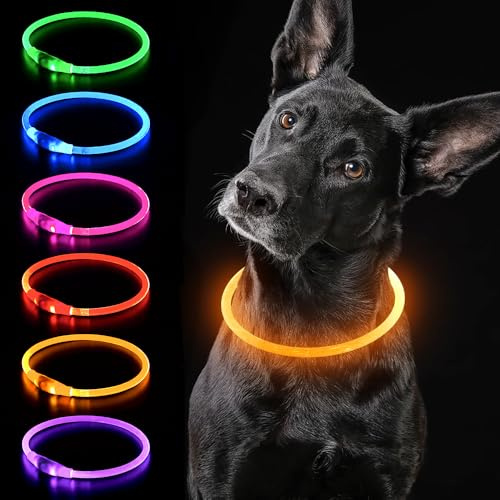 iTayga leuchthalsband Hund, USB-aufladbar und wasserdicht hundehalsband, verstellbare Länge, Sicherheitshalsband für Hunde und Katzen, 3 Modi, Orange