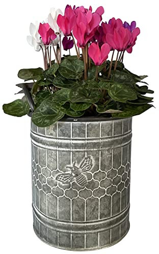 OF Große Blumentöpfe mit Deko Biene - Übertopf, Blumentopf, Pflanzkübel im Vintage Stil (Kleiner Eimer)