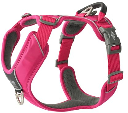 DOG Copenhagen Comfort Walk Pro Hundegeschirr, Wild Rose, XL