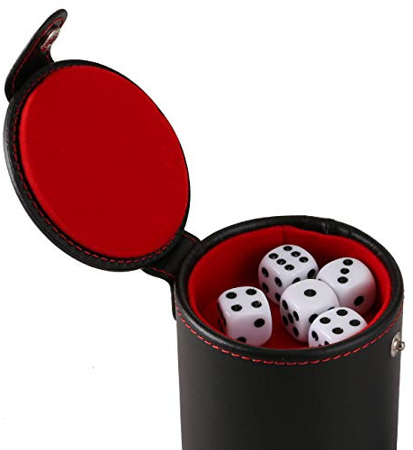 GWHOLE Dice Cup with Lid Include 10 Dices for Playing Board Games
