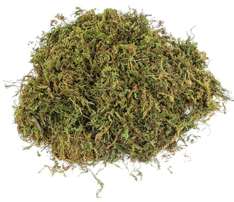 Zfegto Artificial Moss for Crafts - 11 OZ - Faux Green Moss for Decorating Plants Indoor, Pot Filler for Artificial Plants