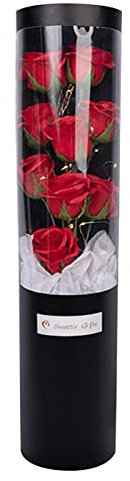 MOVAWAKY Rose avec LED LumièRes,Rose Eternelle sous Cloche en Verre Lumineuse Rose Eternelle Cadeau Cadeau Unique Fleur Artificielle Cadeau | pour Elle Maman Femme Petite Amie Au Saint Valentin FêTe
