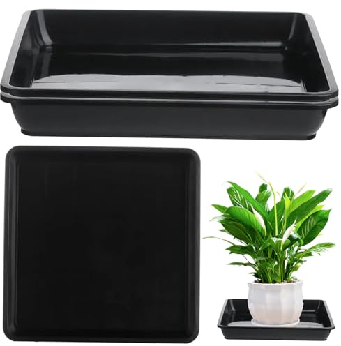 Comebachome Soucoupes en Pot de Plantes 3 pcs 11,8x11,8 Pouces Plate-carré Plate Plan Plante Plateau d'eau de végétation pour Les Fleurs de bonsaï.
