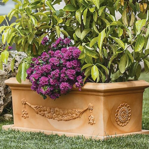Decor Space Jardinière Feston rectangulaire en résine avec décoration pour extérieur Made in Italy (80 cm, Terracotta)