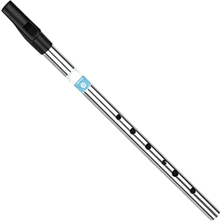 Btuty Irische Pfeife Flöte Taste von D 6 Löchern Flöte Wind Musikinstrumente für Anfänger Fortgeschrittene Experten