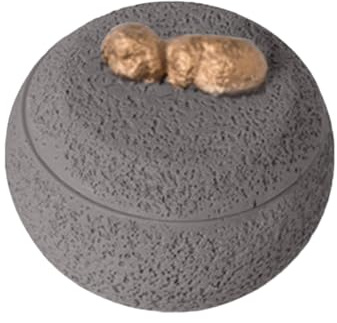 Caja de cenizas de perro, urna conmemorativa para cenizas de perro, contenedor suave, recuerdo decorativo conmemorativo para cachorros, recuerdo de pérdida de , muerte funeral