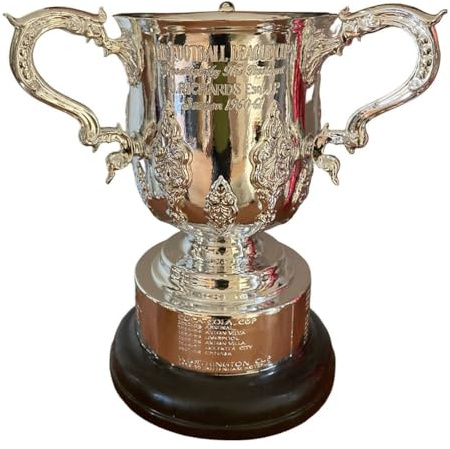 Huadafun Replica Trofeo English Football League Cup – Souvenir per Tifosi di Calcio & Regalo Esposizione per Uomini,18cm