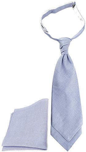 TigerTie Designer Plastron Pique 2tlg Krawatte fertig gebunden Einstecktuch in blau-weiss gemustert