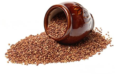 French Marigold 'Bonita' Mix Dwarf Double - 350 Seeds + Plant tag + Freebie (Tagetes patula Nana)