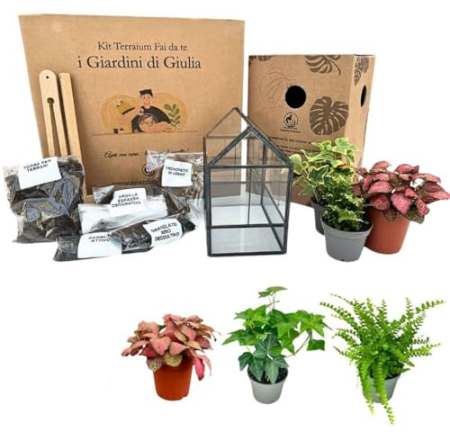I GIARDINI DI GIULIA - Kit de terrario de bricolaje | Cristal y hierro robusto | Incluye 3 plantas y decoraciones | Terrario para plantas de cristal | Tamaño compacto, negro y transparente