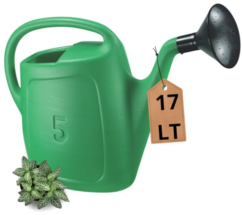 Tomaino - Annaffiatoio 17 Litri - Innaffiatoio Giardino Con Diffusore in Plastica - Impugnatura Comoda con Beccuccio Lungo (17 lt)