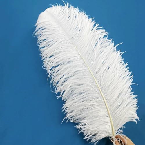 10 piezas de plumas de avestruz blancas naturales para manualidades, bricolaje, fabricación de joyas, bodas, fiestas, Navidad, ración de 15-70 cm, poste grande de 65-70 cm