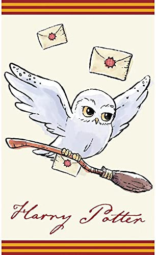 Harry Potter Hedwig HP213003-R - Toalla Infantil (30 x 50 cm)