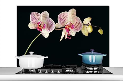 KitchenYeah© Paraschizzi Cucina Alluminio 100x65 cm Pannello Dietro Piano Cottura Fornelli a Gas Paraspruzzi Orchidea - Fiori - Nero - Rosa - Boccioli