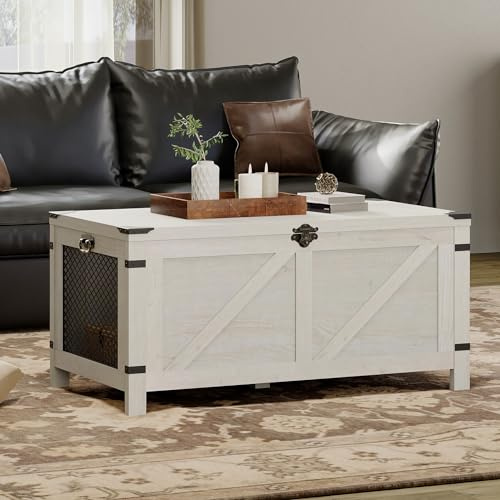 WAMPAT Lift Top Coffee Table for Living Room,Farmhouse Coffee Table with Hidden Storage,Small Accent Furniture with Mesh Cabinet and Rustic Lock,Antique White