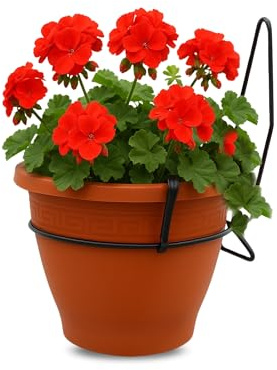 TECHZOCO Macetero con Soporte de Pared, Maceta Redonda plástico, Tiesto Colgar Flores, Fabricado en Polipropileno, Recipiente Pared para Flores, 18 cm diámetro x 10 cm Base x 13.5 cm Alto, Marrón