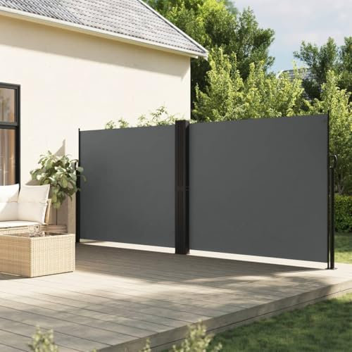Buzaza Seitenmarkise Ausziehbar Sichtschutz Garten Sichtschutz Ausziehbar Balkon Seitenmarkise Anthrazit 160x600 cm