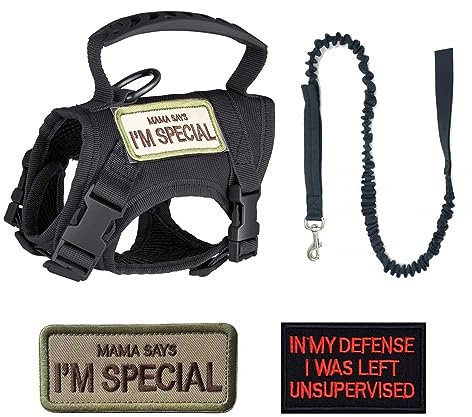 Katzengeschirr Leine,Taktisches Haustier Gehgeschirr Ausbruchsicher Atmungsaktiv Katzenwestengeschirre mit Buchstabenaufklebern für Katzen Hunde