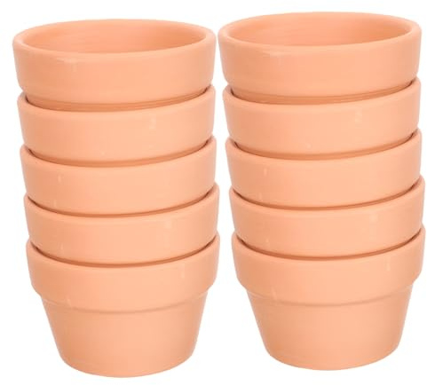 JOINPAYA 10 Piezas Cestas de Roja Plantas Suculentas de Macetas de Decoración de Escritorio Macetas y Jardín Interior