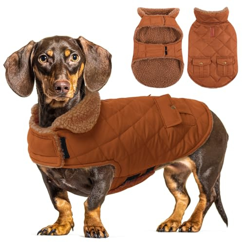 CITÉTOILE Warme Hundemantel Fleece Wintermantel für Hunde Braun L | Hundebekleidung Hundejacke mit Geschirr Loch für Chihuahua Dackel, Outdoor Welpen Mantel für kleine mittel große Hunde