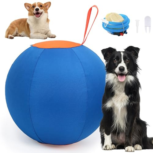 Comebachome Herding Ball für Hunde, 45 cm/18 -Zoll