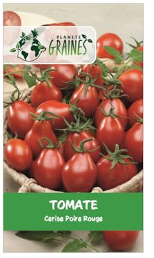 50 graines de tomate cerise poire rouge red fig - variété ancienne productive et décorative - sachet de semences potagères