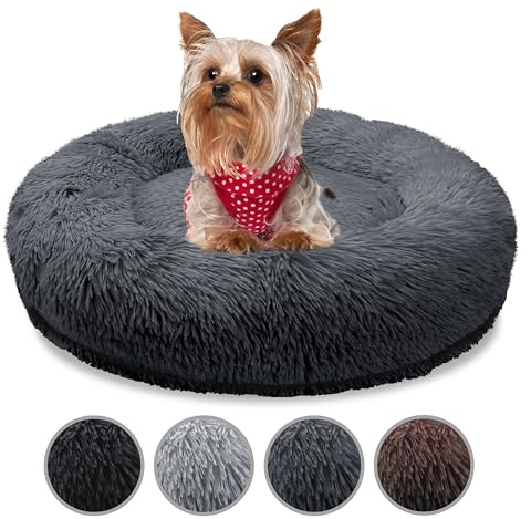 bluzelle Orthopädisches Hundebett für Kleine Hunde & Katzen, Dunkel-Grau | XXS-50 cm