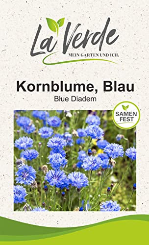 Kornblume Blau Blumensamen