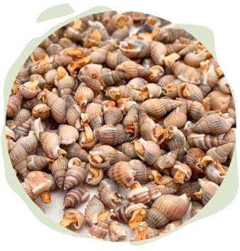 Warnick´s Tierfutterservice Naturhäppchen Schnecken, FD gefriergetrocknet - 100 gr Tüte - Naturfutter für Zierfische, Garnelen und Krebse
