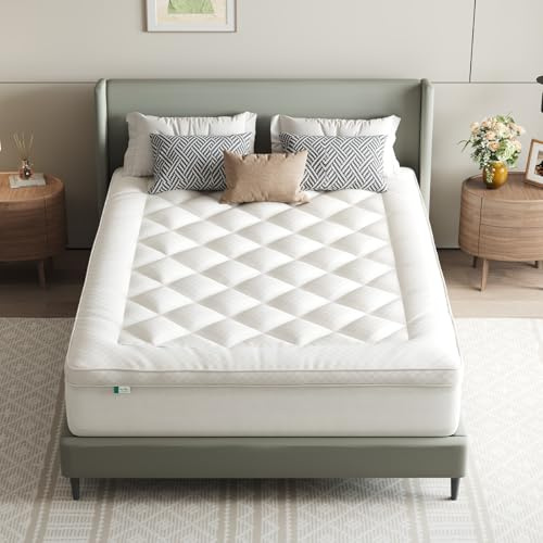 Novilla Queen Mattress Topper, Extra Thick Pillow Top - Overfilled Hotel Luxury Mattress Pad Cover for Back Pain Relief, Breathable Fluffy Down Alternative Fill, 8-21” Deep Pocket, Oatmeal