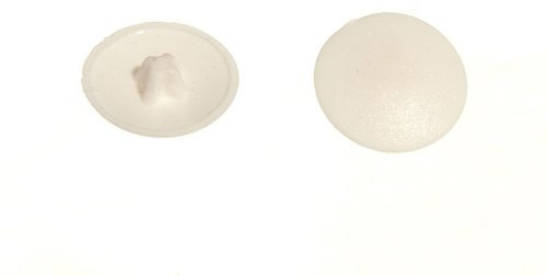 100 x POZI Push ON Screw Cap Cover Beige for No. 6 & No. 8 Size Screws