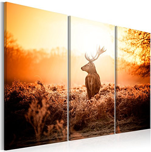 murando - Akustikbild Hirsch Bilder Akustikschaum Hochleistungsschallabsorber Schallschutz Leinwand 3 tlg Wandbild Raumakustik Schalldämmung g-B-0045-b-f