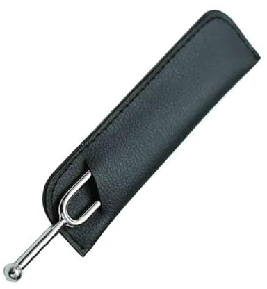 Geige Zubehör 4/4 Violine Gitarre Tuner Edelstahl Stimmgabel Langlebiges Zubehör