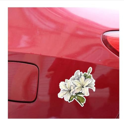 Autoaufkleber Und Abziehbilder, 10,9 X 12,1 Cm, Interessante Lilien-Blumen-Dekor, Autoaufkleber, Autoscooter, Fenster (2 Stück)(2 Stück)
