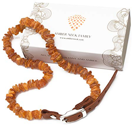 Amber Neck – Bernsteinhalsband für Hunde & andere Haustiere – Handgemacht aus echtem baltischen Bernstein – Echtes Leder – Verstellbar – Geschenkverpackung – Größen 60-65 cm