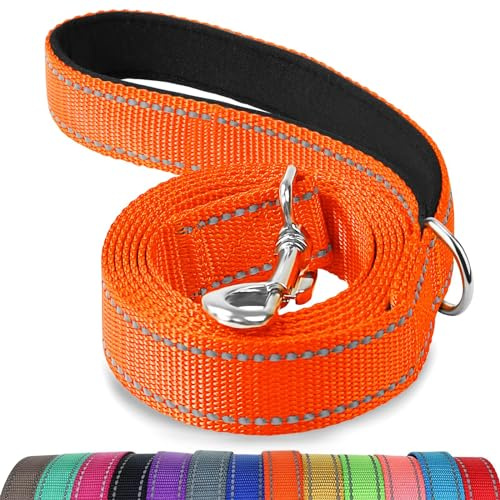 Joytale Laisse Double Face Réfléchissante Robuste pour Chien, avec Poignée Rembourée,1.2m x 2cm,Orange