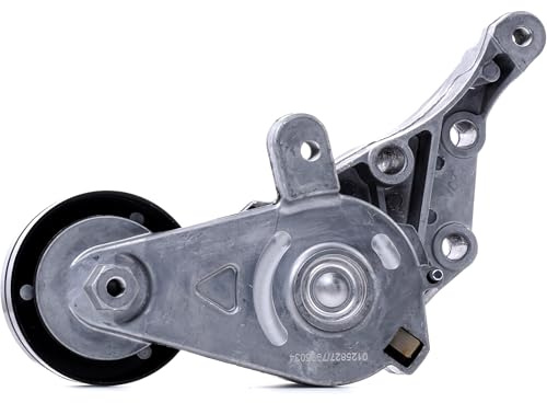 STARK SKVB-0590025 Tensor de correa poli V con soporte compatible con VW Golf IV Hatchback 1J1