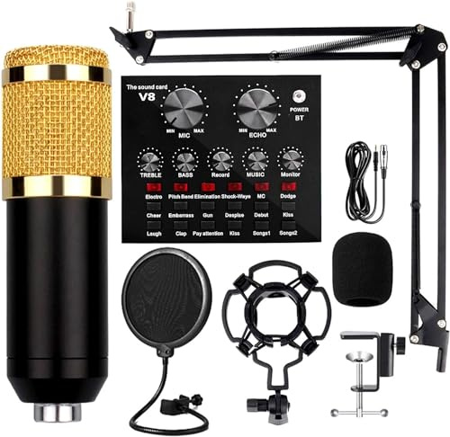 ELzEy Kit microfono a condensatore, scheda audio live con effetti e vocoder, kit di registrazione in studio